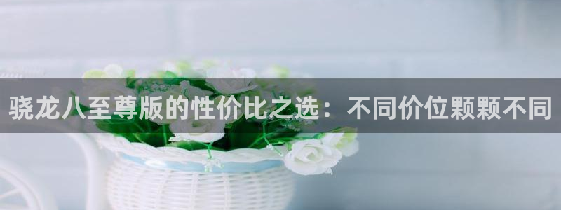 恒行4登录：骁龙八至尊版的性价比之选：不同价位颗颗不同