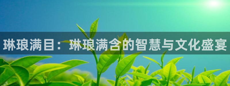 恒行体育凯捷平台主管：琳琅满目：琳琅满含的智慧与文化盛宴