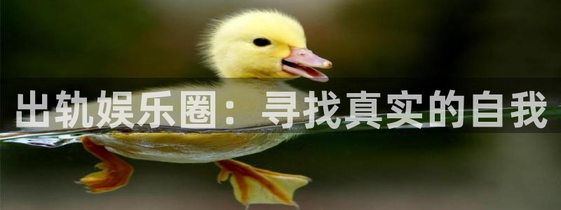 恒行集团总部：出轨娱乐圈：寻找真实的自我