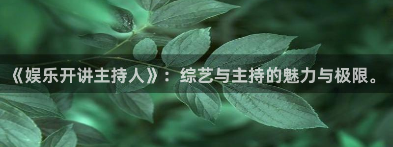 恒行登陆：《娱乐开讲主持人》：综艺与主持的魅力与极限。