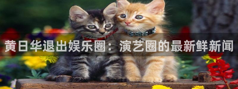 恒行平台开户链接：黄日华退出娱乐圈：演艺圈的最新鲜新闻