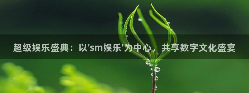 恒行体育官网入口登录：超级娱乐盛典：以\'sm娱乐\'为中心，共享数字文化盛宴