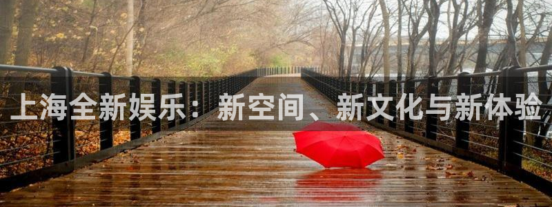 恒行3注册：上海全新娱乐：新空间、新文化与新体验