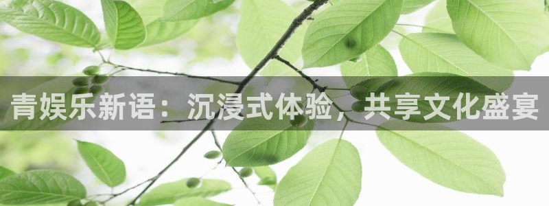 德国恒行集团：青娱乐新语：沉浸式体验，共享文化盛宴