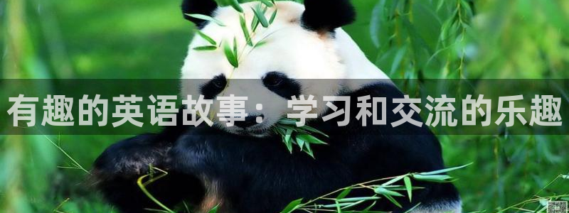 恒行体育热门赛事有哪些