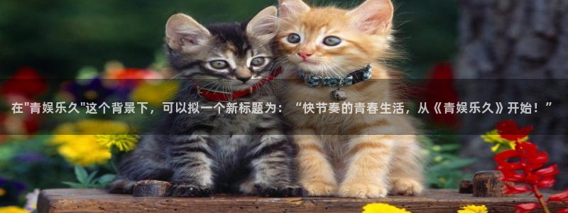 恒行体育官网入口登录：在\