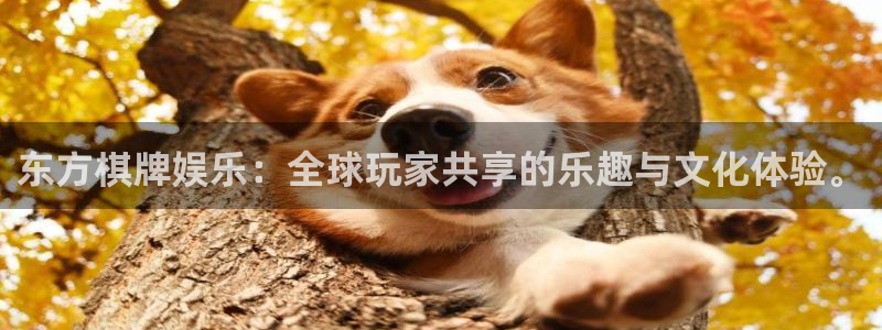 恒行体育代理申请流程：东方棋牌娱乐：全球玩家共享的乐趣与文化体验。