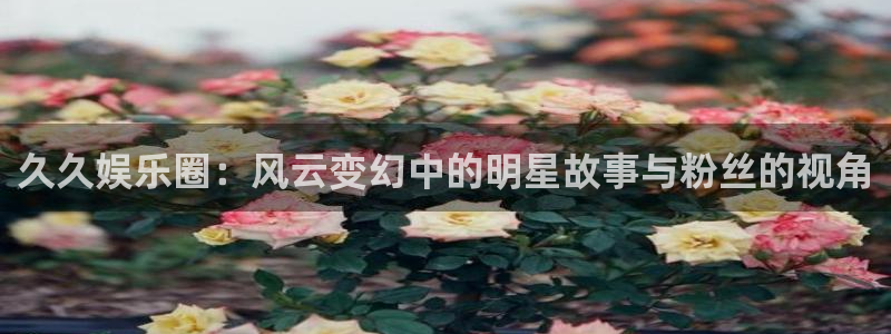 恒行集团股票：久久娱乐圈：风云变幻中的明星故事与粉丝的视角