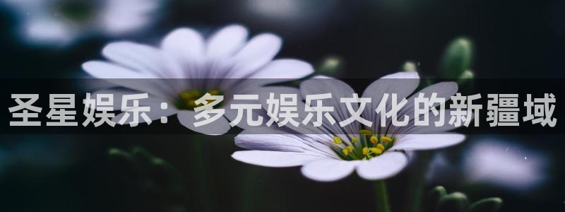 恒行体育注册平台：圣星娱乐：多元娱乐文化的新疆域