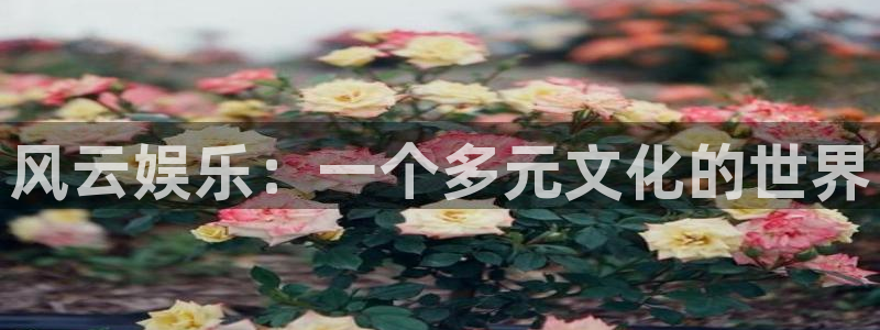 上海恒行汽车电子有限公司：风云娱乐：一个多元文化的世界