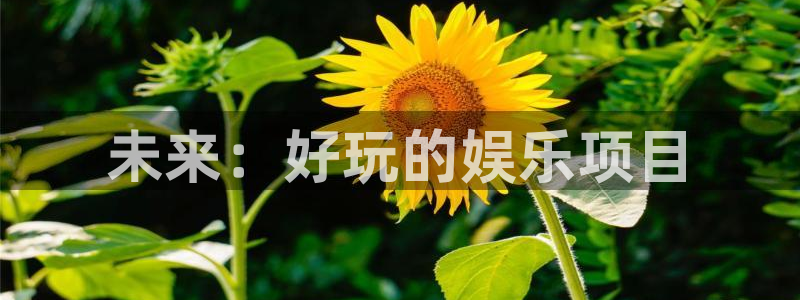 恒行2登录地址：未来：好玩的娱乐项目