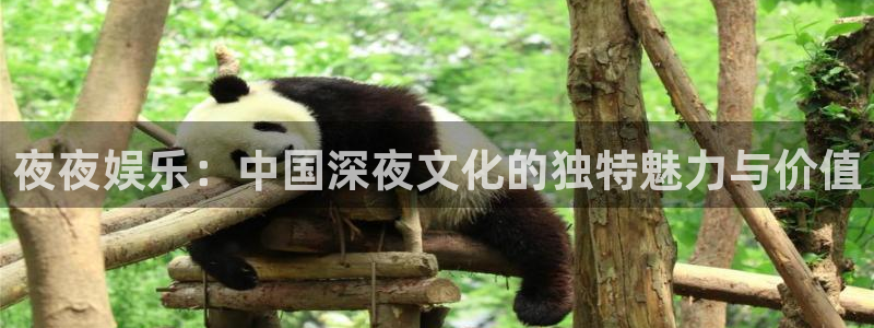 恒行平台招商：夜夜娱乐：中国深夜文化的独特魅力与价值