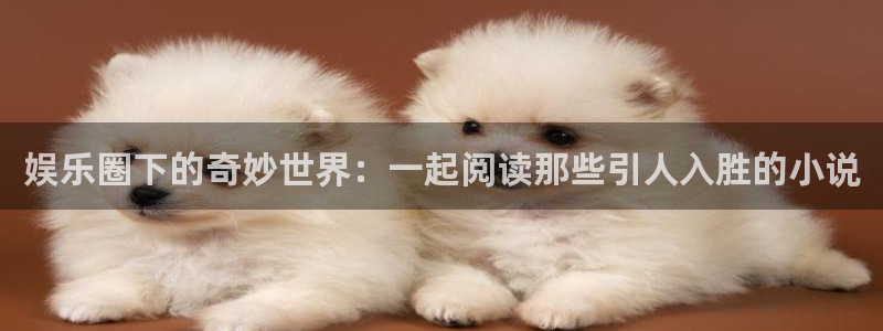 恒行体育eon：娱乐圈下的奇妙世界：一起阅读那些引人入胜的小说