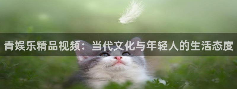 恒行代理：青娱乐精品视频：当代文化与年轻人的生活态度