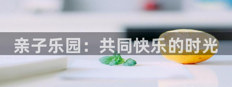 恒行2登录入口：亲子乐园：共同快乐的时光