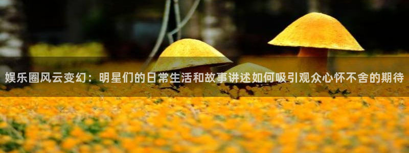 恒行股份：娱乐圈风云变幻：明星们的日常生活和故事讲述如何吸引观众心怀不舍的期待