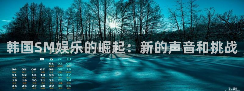 恒行4官网：韩国SM娱乐的崛起：新的声音和挑战